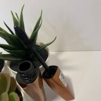 IMG 9495